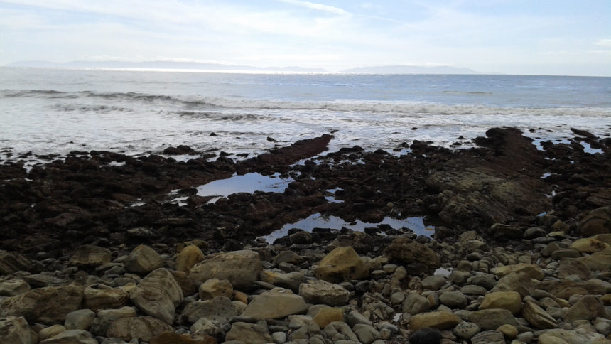 White Point/Royal Palms Nature Walk - San Pedro Calendar