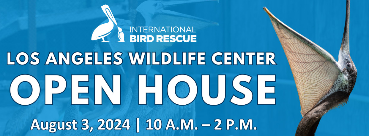 Bird Rescue Open House Saturday 8/3/24