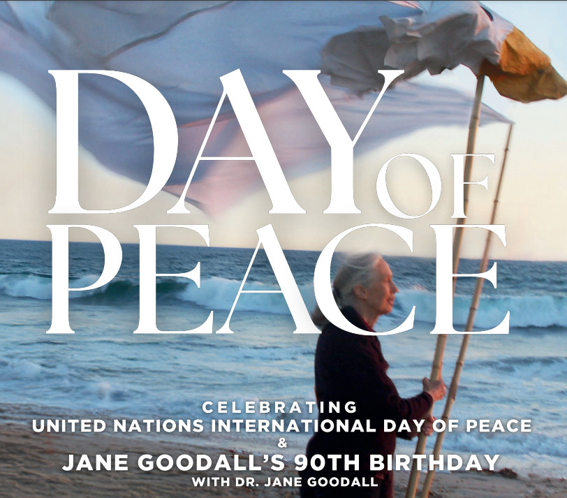 A day of celebration honoring Dr. Jane Goodall