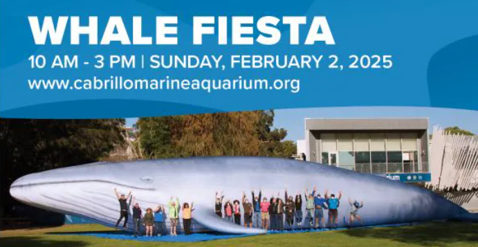 Whale Fiesta at Cabrillo Marine Aquarium